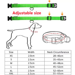 Adjustable LED Collar