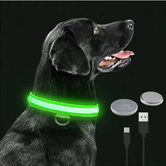 Adjustable LED Collar