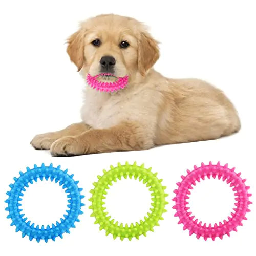 Teething Chew Toy
