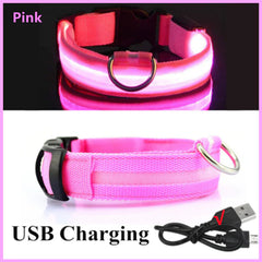 Adjustable LED Collar