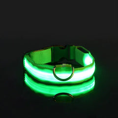 Adjustable LED Collar