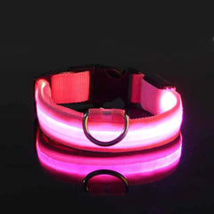 Adjustable LED Collar