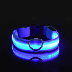 Adjustable LED Collar