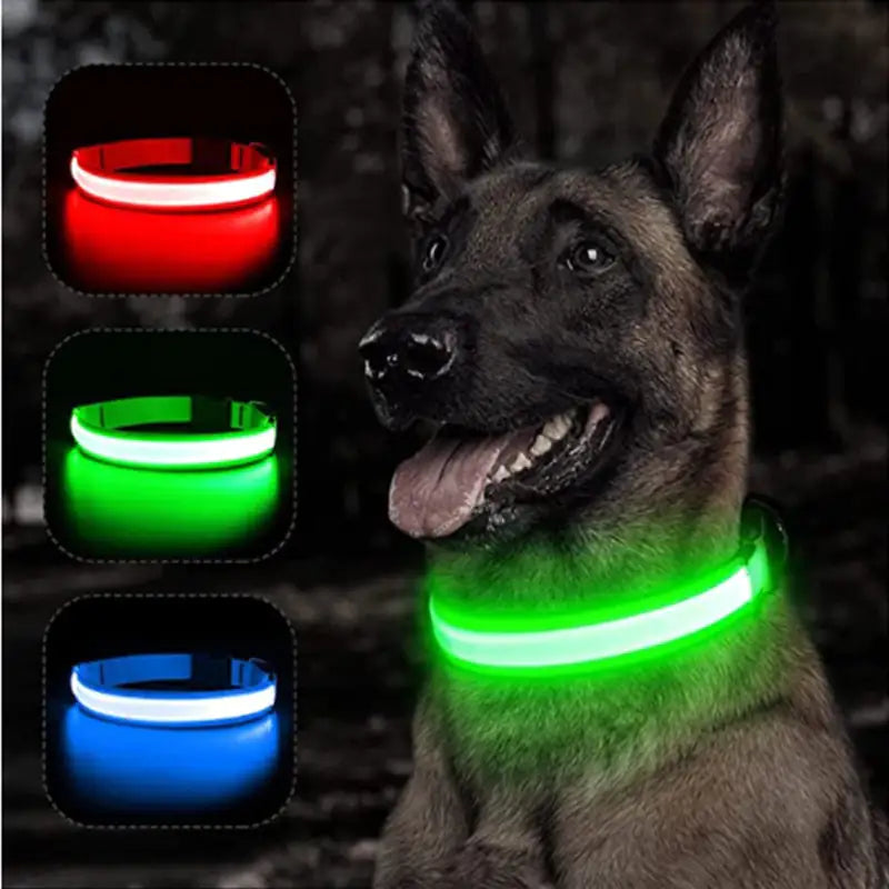 Adjustable LED Collar