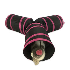Cat Tunnel