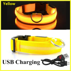 Adjustable LED Collar