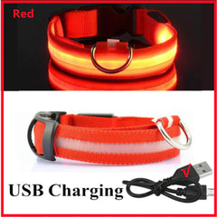 Adjustable LED Collar