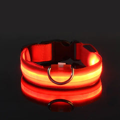 Adjustable LED Collar
