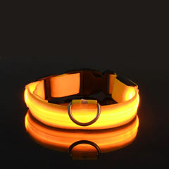 Adjustable LED Collar