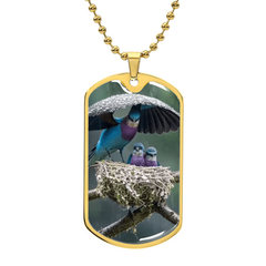 "A Mother's Love – Guardian of Her Nest"