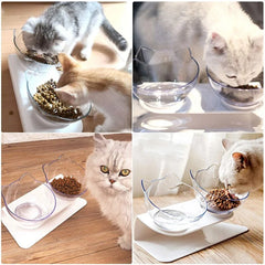Double Cat Bowl