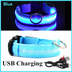 Adjustable LED Collar