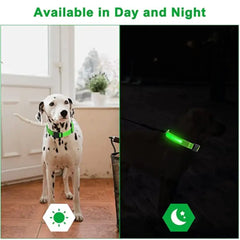 Adjustable LED Collar