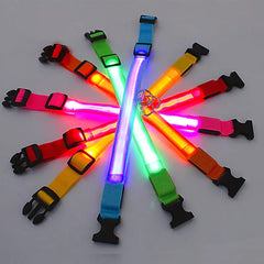 Adjustable LED Collar