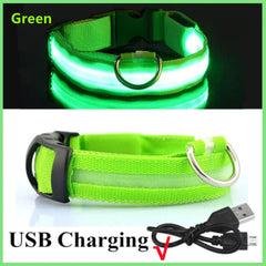 Adjustable LED Collar