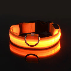 Adjustable LED Collar