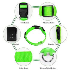Adjustable LED Collar
